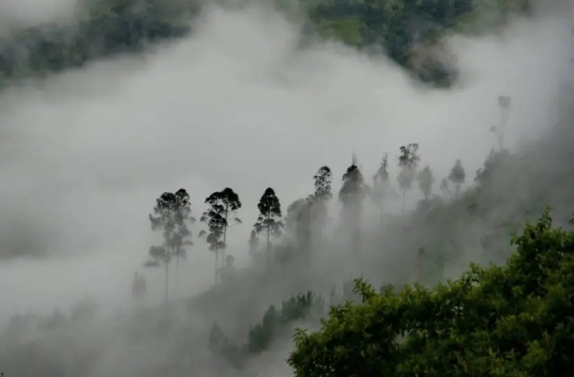 Con paisajes rodeados de neblinas te sentirás en las nubes. Foto: cortesía.
