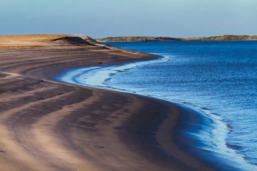 Conoce el origen de las arenas negras en playas de Baja California Sur. Foto: Cortesía.