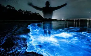 Playas con bioluminiscencia en Nayarit, ¿cuál es la mejor fecha para visitarlas?