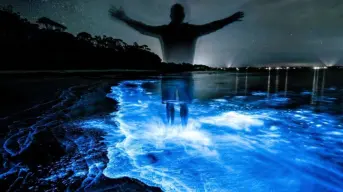 Playas con bioluminiscencia en Nayarit, ¿cuál es la mejor fecha para visitarlas?