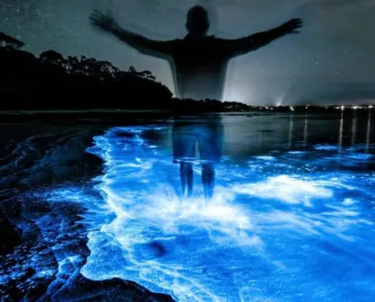 Playas con bioluminiscencia en Nayarit, ¿cuál es la mejor fecha para visitarlas?