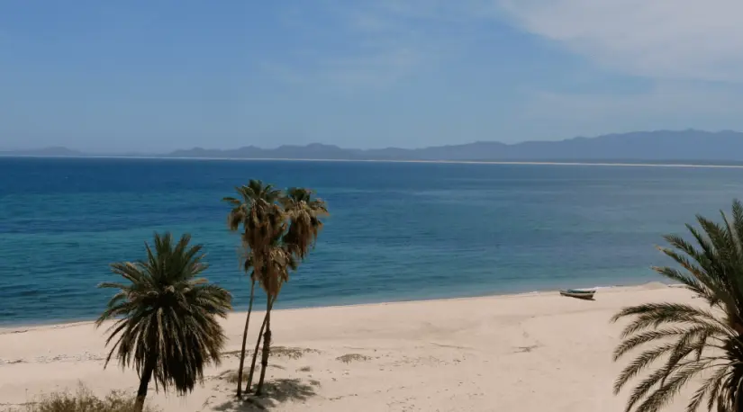 Disfruta de la belleza de Playa El Sargento. Foto: Cortesía. 