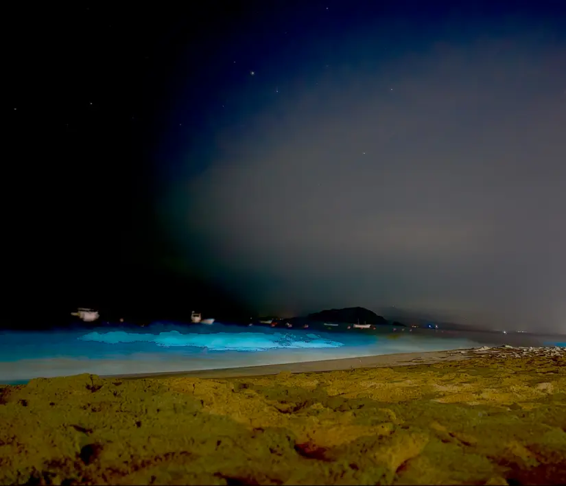 Playa Los Ayala en Nayarit. Foto: cortesía Playa Los Ayala en Nayarit. Foto: cortesía.