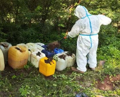 Aseguran material para fabricar metanfetamina en Sinaloa con valor de 62 mdp