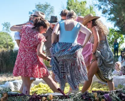 Últimas actividades de las Fiestas de la Vendimia 2025, en Baja California; fechas y horarios