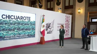 México es libre y soberano”: Sheinbaum rechaza idea de bombardeo contra cárteles