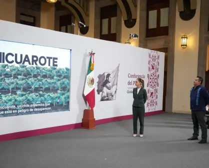 México es libre y soberano": Sheinbaum rechaza idea de bombardeo contra cárteles