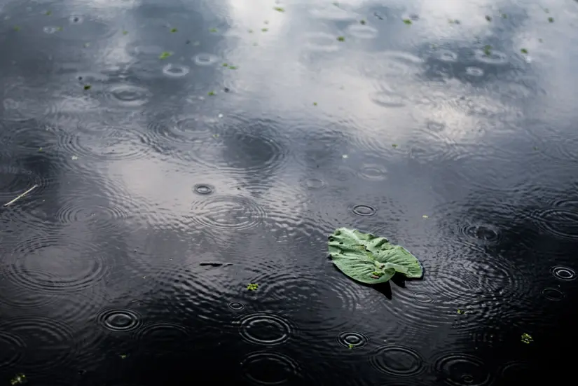 Las lluvias seguirán durante todo el fin de semana. Foto: Freepik. Las lluvias seguirán durante todo el fin de semana. Foto: Freepik.