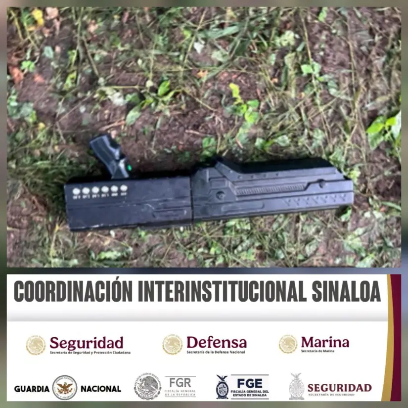 Decomiso en San Ignacio.