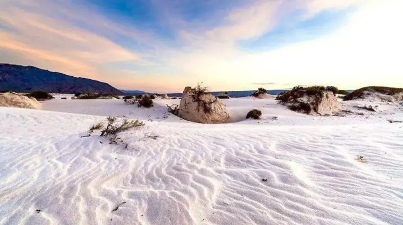 Hermoso paisaje de las Dunas Blancas de Yeso en Coahuila. Foto: cortesía Hermoso paisaje de las Dunas Blancas de Yeso en Coahuila. Foto: cortesía.