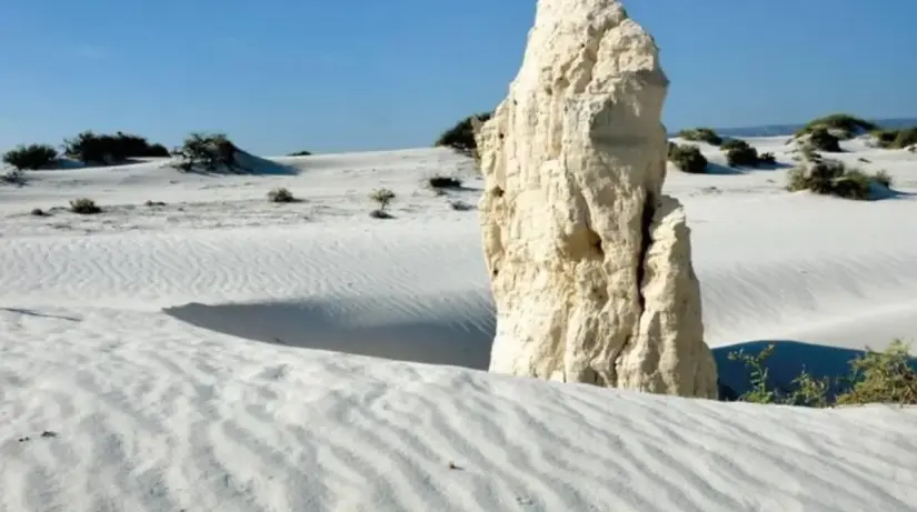 Conoce el increíble paisaje de las Dunas de Yeso en Coahuila. Foto: cortesía Conoce el increíble paisaje de las Dunas de Yeso en Coahuila. Foto: cortesía.