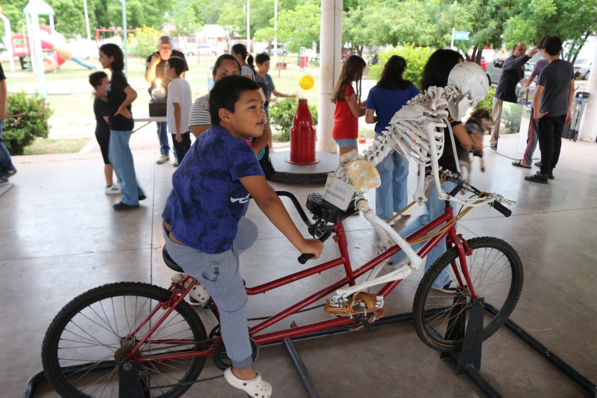 Imagen 13