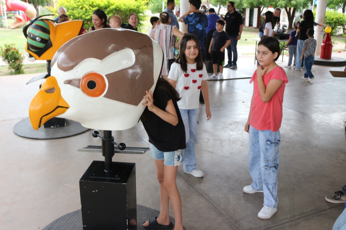 Imagen 12