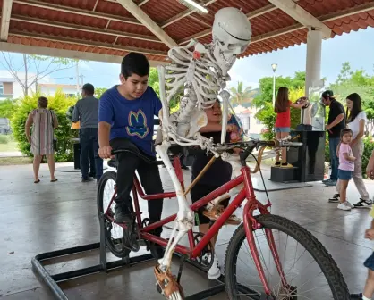Viven la ciencia en Parque Jardines de Santa Fe 4, una oportunidad de aprendizaje y diversión