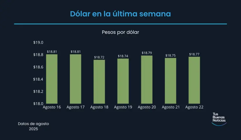Precio del dólar hoy 22 de agosto de 2025 Precio del dólar en la última semana de acuerdo al DOF. Foto: TBN