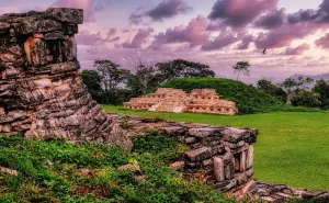 Corredor Biocultural Gran Selva Maya: Un acuerdo histórico para proteger la selva y la biodiversidad