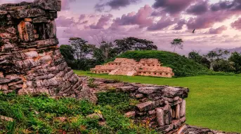 Corredor Biocultural Gran Selva Maya: Un acuerdo histórico para proteger la selva y la biodiversidad