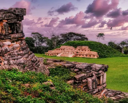 Corredor Biocultural Gran Selva Maya: Un acuerdo histórico para proteger la selva y la biodiversidad