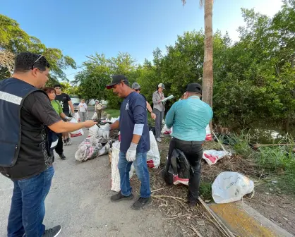 Limpieza en el manglar del Arroyo Jabalines fortalece la conciencia ambiental en Mazatlán