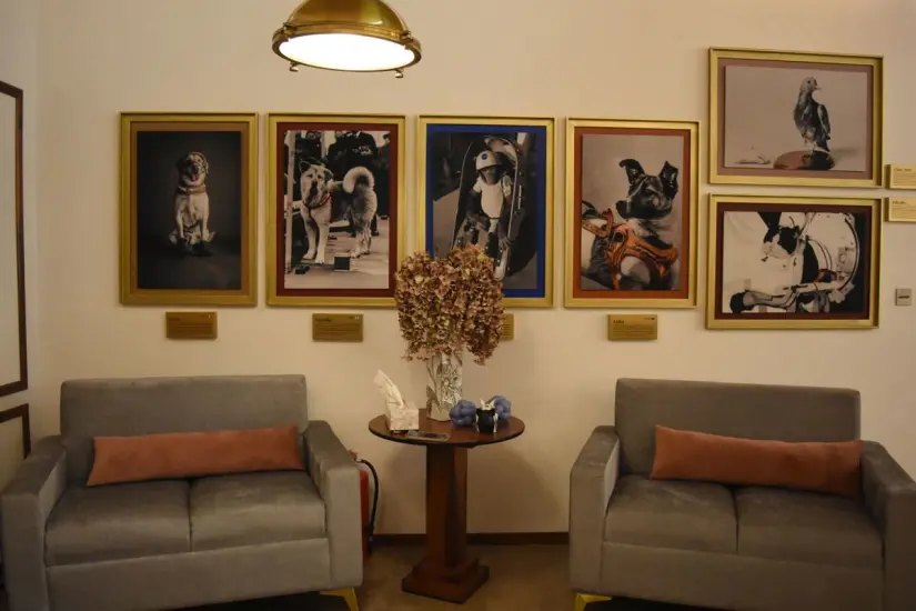 En la antesala al portal, existe un Memorial Pet que rinde homenaje a las mascotas heróicas. En la antesala al portal, existe un Memorial Pet que rinde homenaje a las mascotas heróicas. Foto: Lino Ceballos.