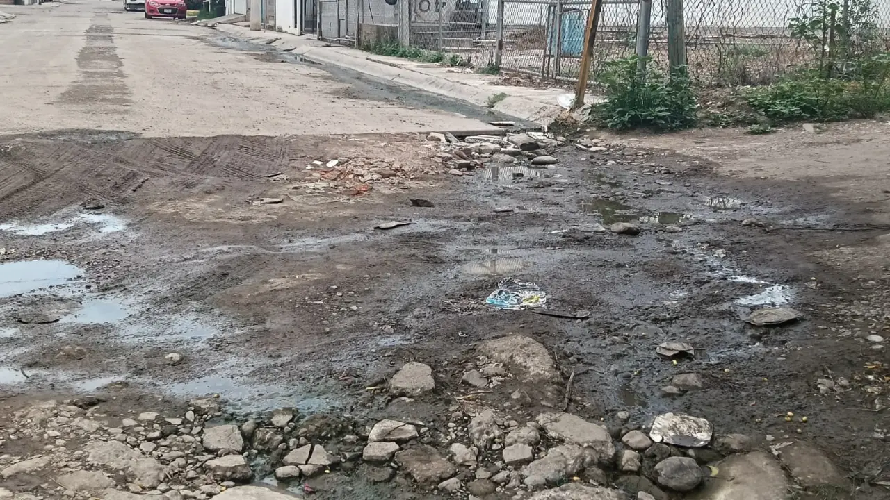 Permitir los encharcamientos, y el crecimiento de la maleza, es causante de la proliferación del mosco del dengue.