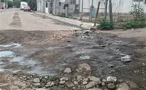 Limpieza y descacharrización son la clave para prevenir el dengue en Culiacán