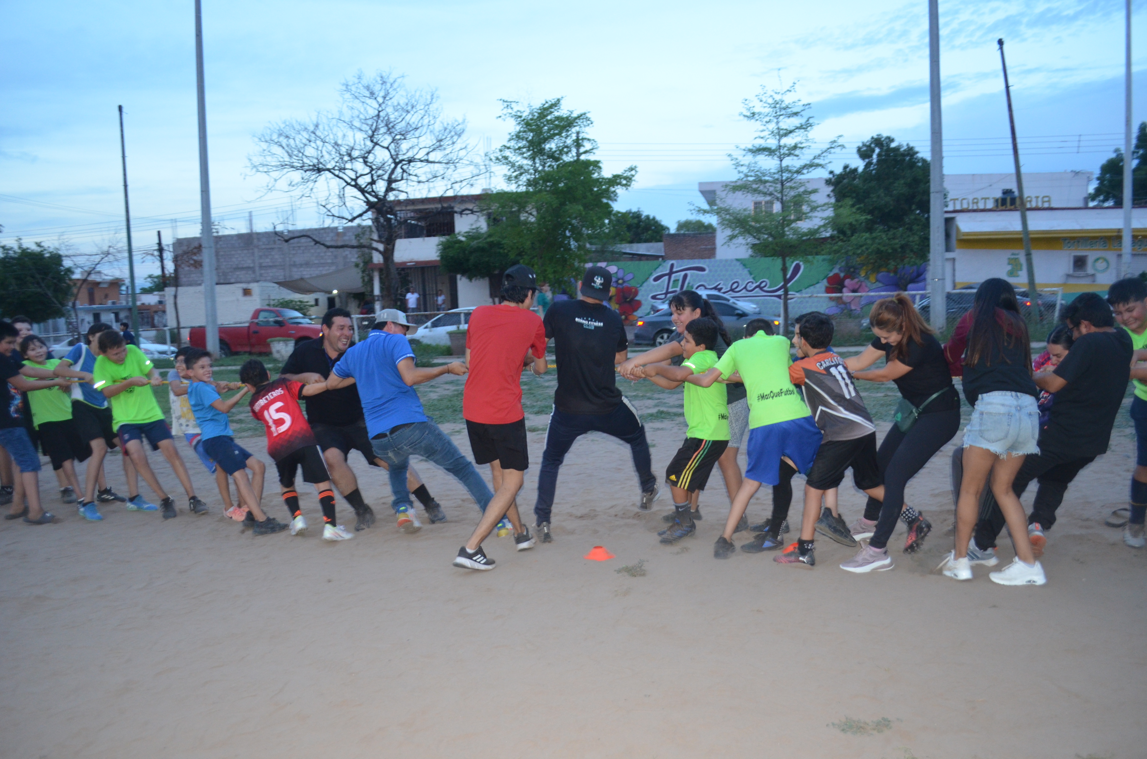 Imagen 15