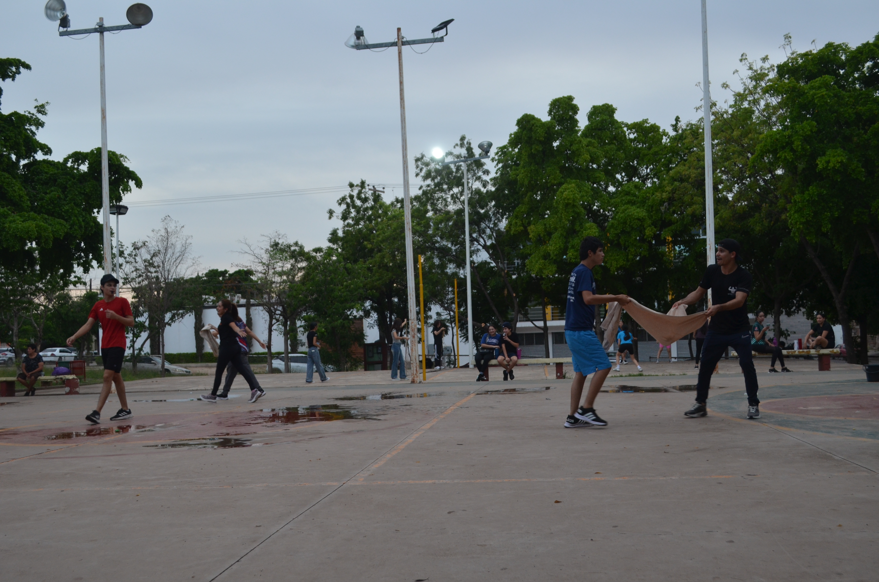 Imagen 8