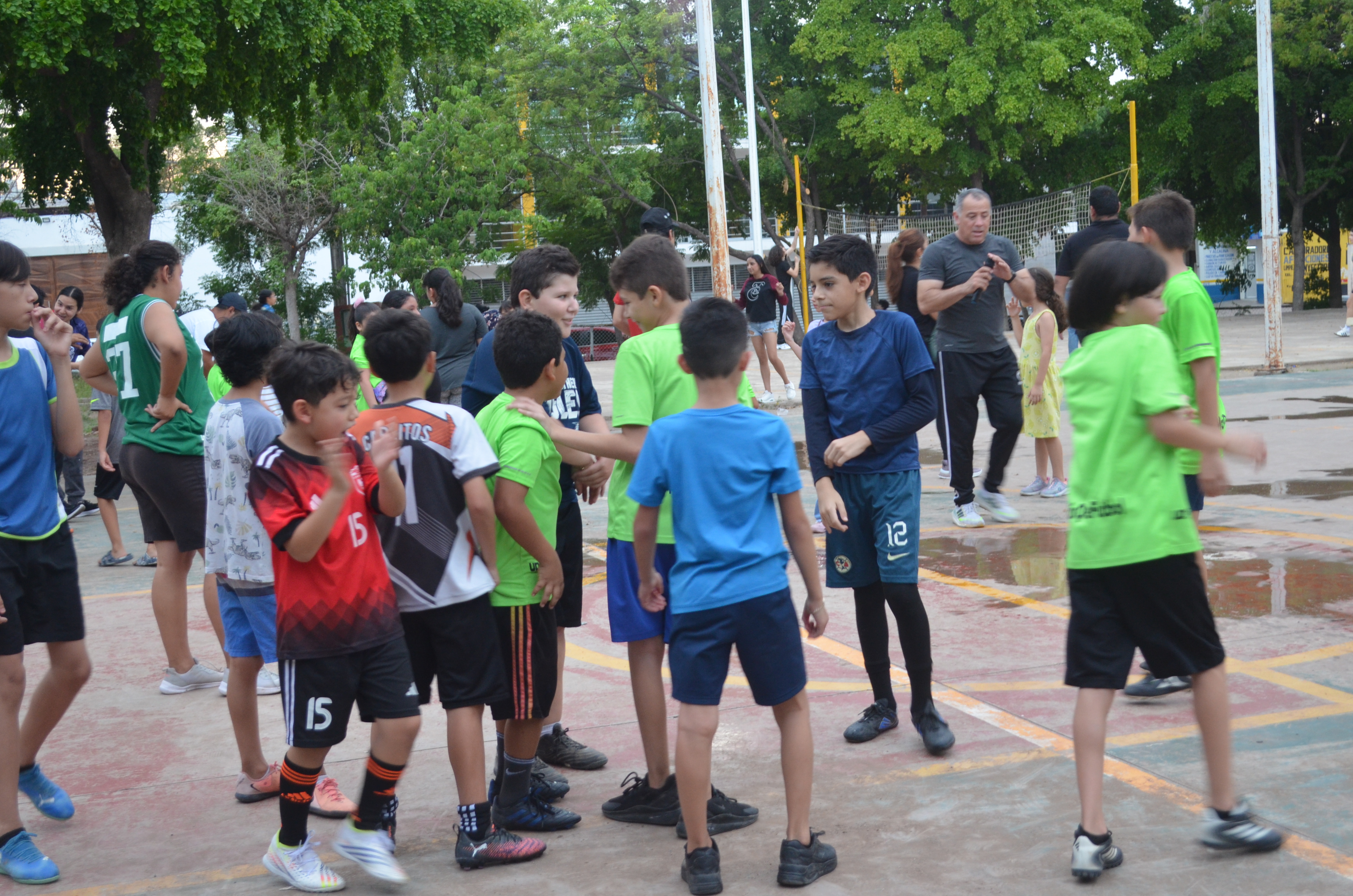 Imagen 6