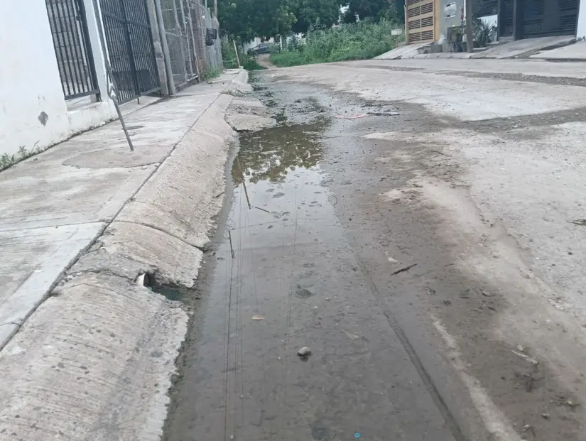 Los encharcamientos son los causantes de la proliferación del mosco del dengue.