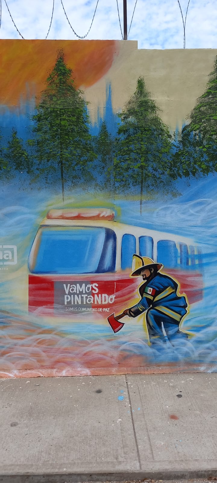Imagen 8