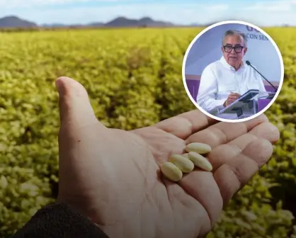 Rocha plantea apoyar siembra de frijol en Sinaloa bajo agricultura por contrato