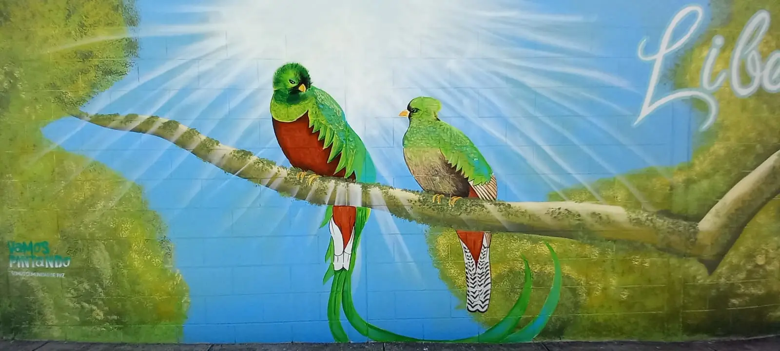 Explora la iniciativa de pintura mural en Alturas del Sur que transmite mensajes de esperanza y renueva el entorno urbano.  Fotos: Cortesía.