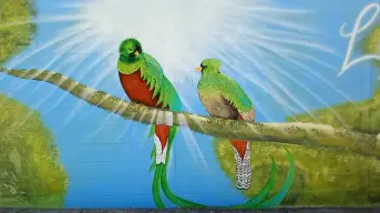 Vamos Pintando y Suma crean murales que inspiran paz y unión en Culiacán