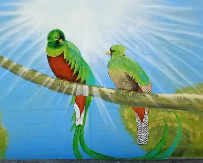 Vamos Pintando y Suma crean murales que inspiran paz y unión en Culiacán