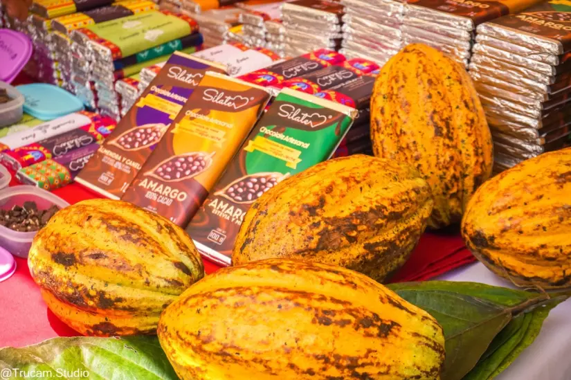Festival Chiapaneco del Cacao y Chocolate Festival Chiapaneco del Cacao y Chocolate