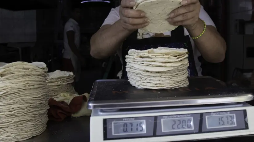 En Tijuana el kilo de tortillas te cuesta 30 pesos. Foto: Cortesía. En Tijuana el kilo de tortillas te cuesta 30 pesos. Foto: Cortesía.