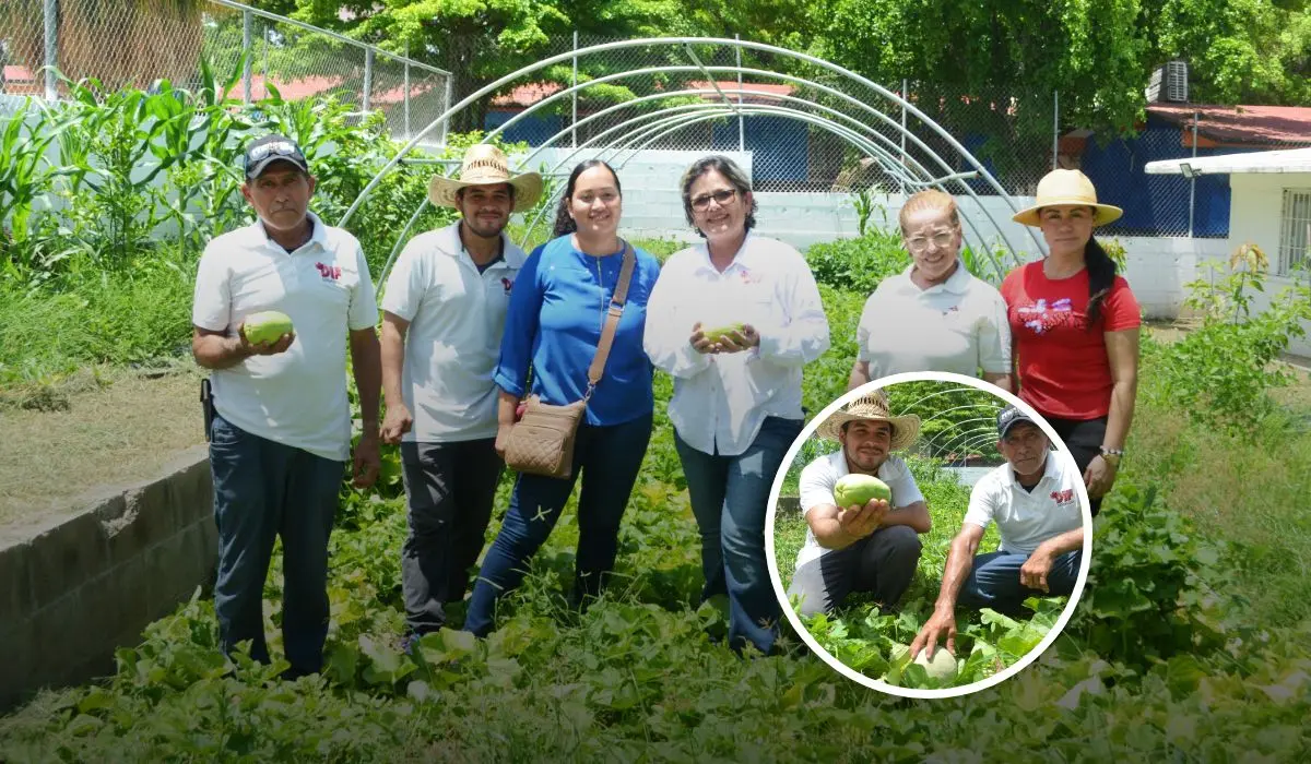 El huerto familiar del CDI No. 2 es un ejemplo de cómo la tierra cultiva alimentos y lazos humanos. Foto: Juan Madrigal