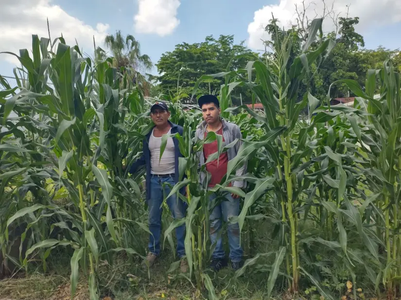 La iniciativa, impulsada por usuarios y personal del CDI No. 2, demuestra que sembrar juntos es cosechar alimentos, amistad y bienesta La iniciativa, impulsada por usuarios y personal del CDI No. 2, demuestra que sembrar juntos es cosechar alimentos, amistad y bienestar. Foto: Juan Madrigal