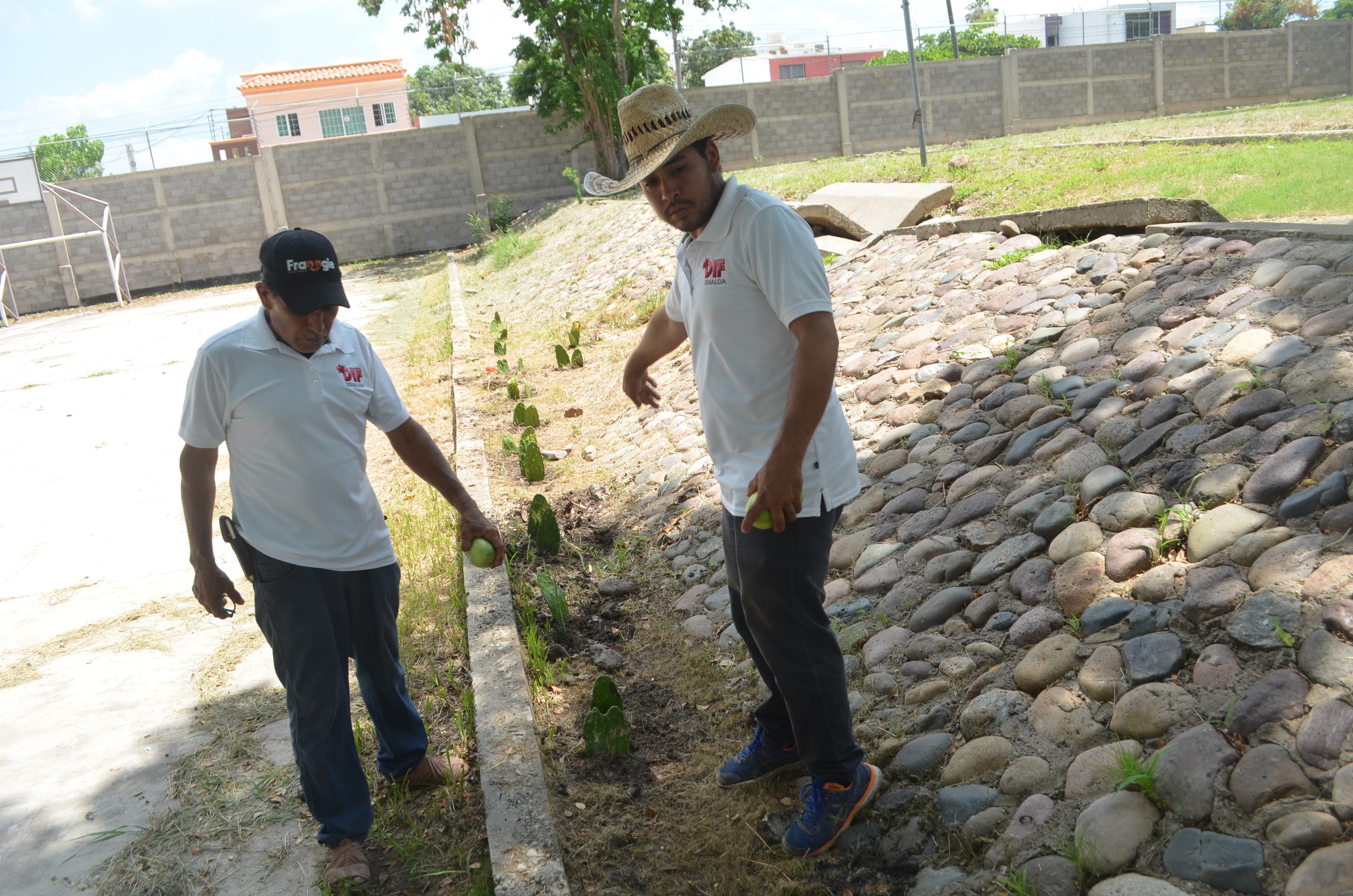 Imagen 1