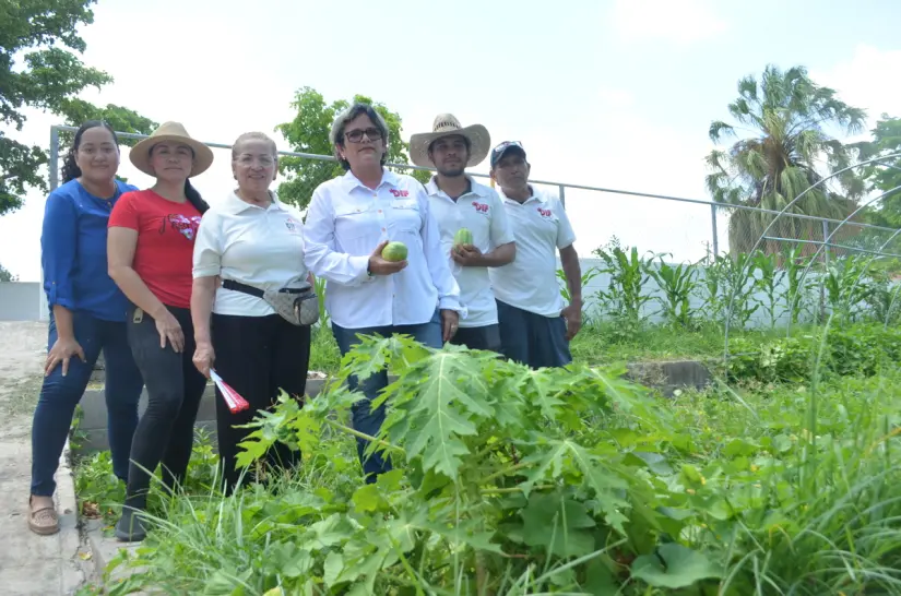 En la colonia Sinaloa, un huerto comunitario crece como símbolo de cooperación, sustentabilidad y amor por la tierra. En la colonia Sinaloa, un huerto comunitario crece como símbolo de cooperación, sustentabilidad y amor por la tierra. Foto: Juan Madrigal