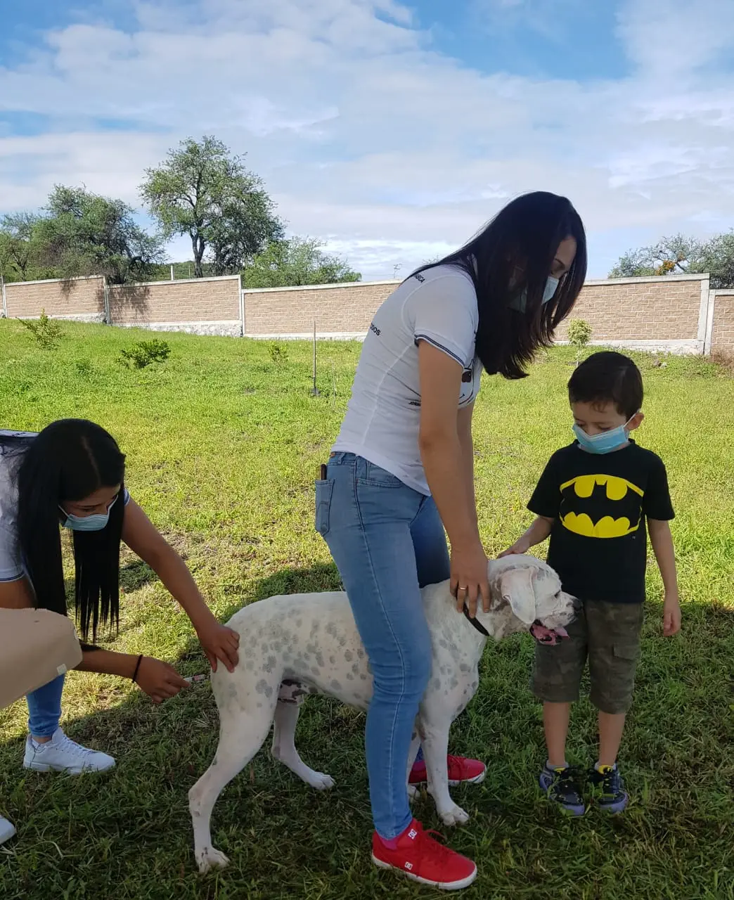 Vacuna contra la rabia es gratis en Guanajuato. Foto: Cortesía