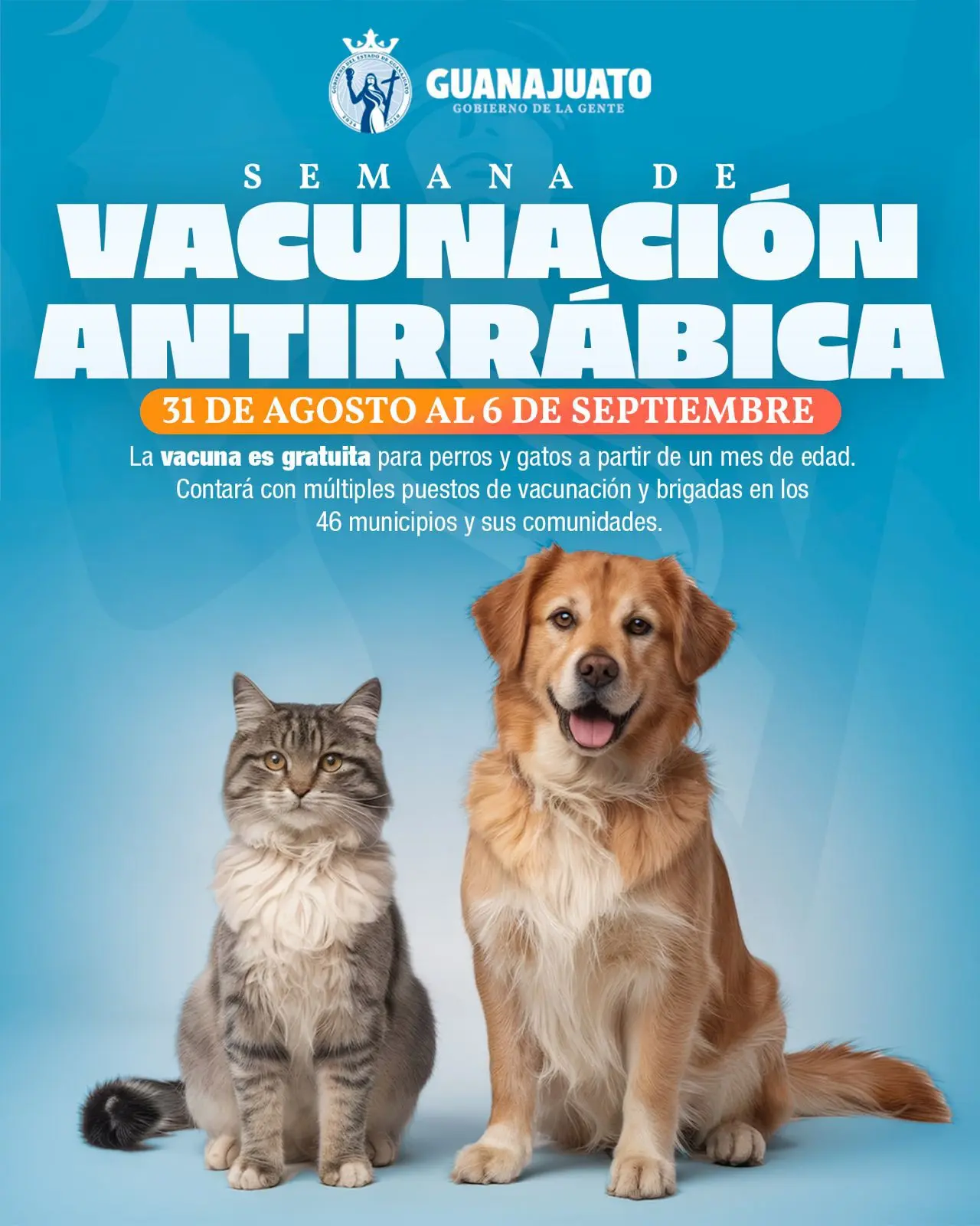 Vacunación antirrábica en Guanajuato. Foto: Cortesía