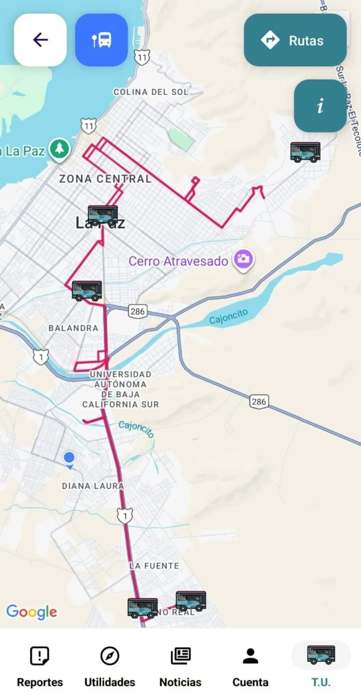 Con la App La Paz puedes seguir la ruta del Tiburón Urbano Con la App La Paz puedes seguir la ruta del Tiburón Urbano. Foto: Cortesía
