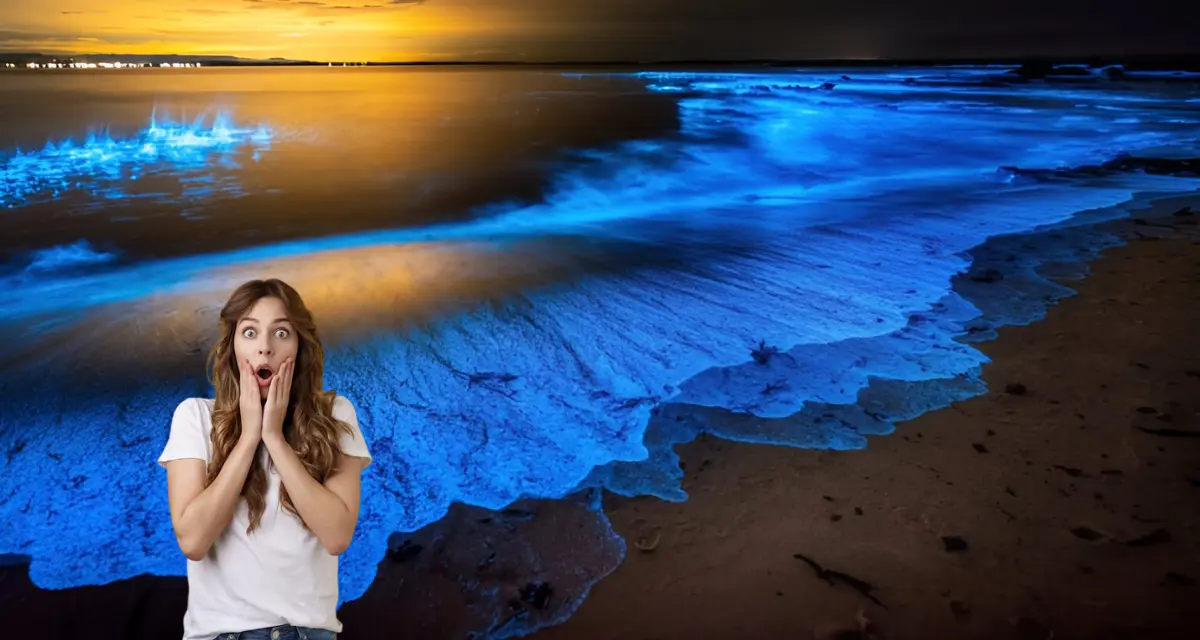 Informate acerca de las playas con bioluminiscencia en Yucatán. Foto: Cortesía.