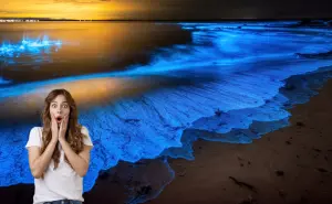 Playas con bioluminiscencia en Yucatán, cuando es el mejor momento para visitarlas