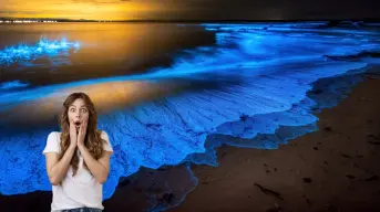 Playas con bioluminiscencia en Yucatán, cuando es el mejor momento para visitarlas