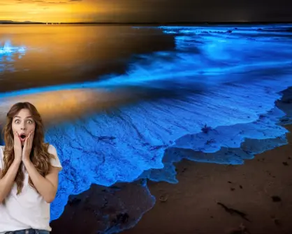 Playas con bioluminiscencia en Yucatán, cuando es el mejor momento para visitarlas