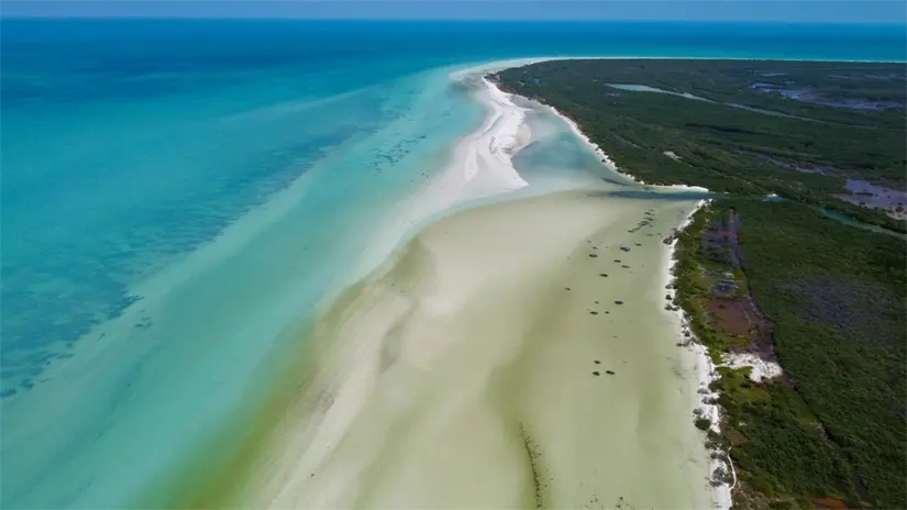 Isla Holbox es el mejor sitio para ver la bioluminiscencia en Quintana Roo. Foto: Unsplash. Isla Holbox es el mejor sitio para ver la bioluminiscencia en Quintana Roo. Foto: Unsplash.