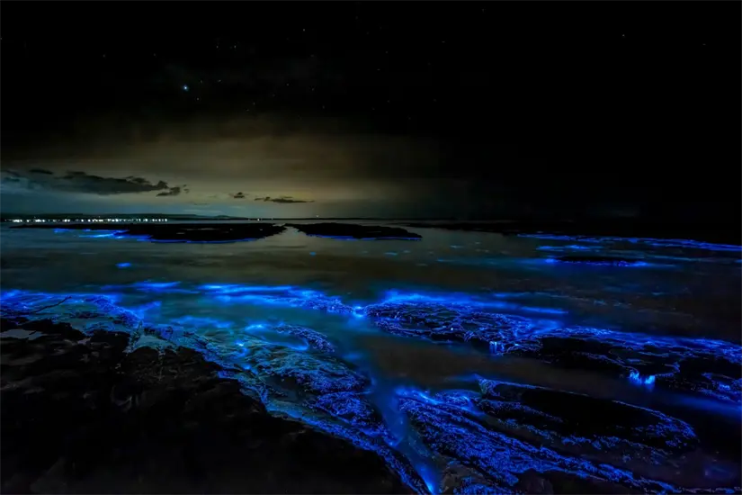 Conoce cuáles playas de Quintana Roo tienen bioluminiscencia. Foto: Unsplash. Conoce cuáles playas de Quintana Roo tienen bioluminiscencia. Foto: Unsplash.